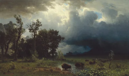 Sentiero dei bufali: La tempesta imminente, 1869